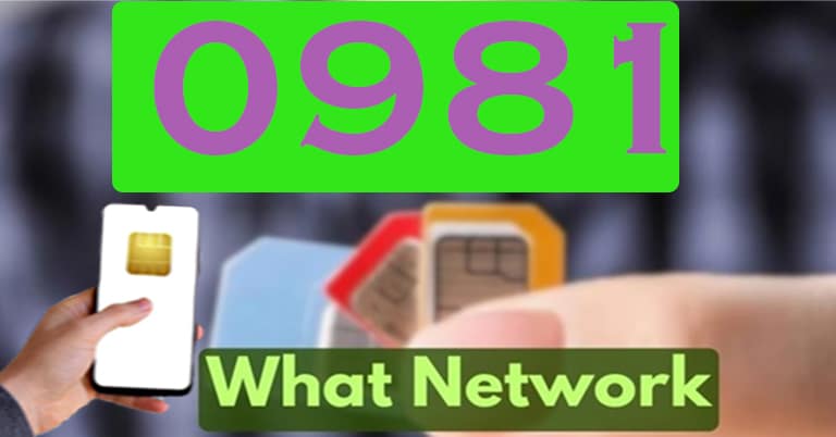 0981What net work